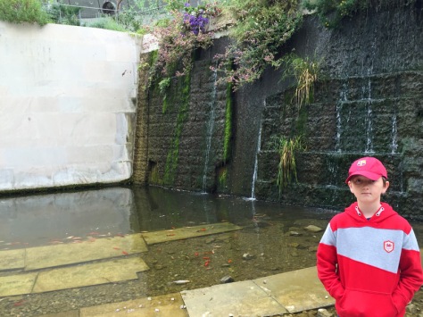 Tom by the waterfall in the National Botanic Garden of Wales