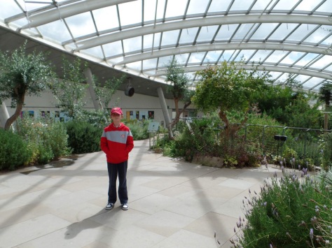 Inside the Biodome at the National Botanic Garden of Wales