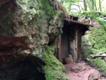 The Magical Doorway at Puzzlewood