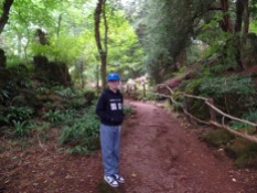 Tom enters Puzzlewood, filming location for Star Wars Episode VII The Force Awakens, planet of Tarkodana