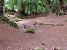 Puzzlewood, filming location for Doctor Who Flesh and Stone