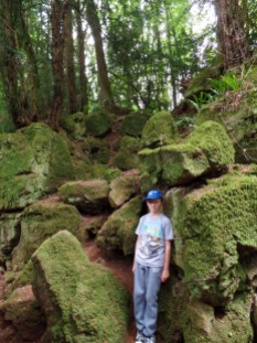 Looking for Middle Earth at Puzzlewood