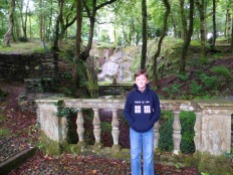 A magical forest at Plas Brondanw
