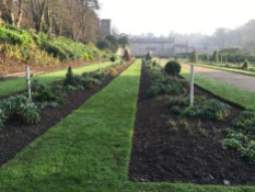 Recreating the 17th Century Garden at Dyrham Park